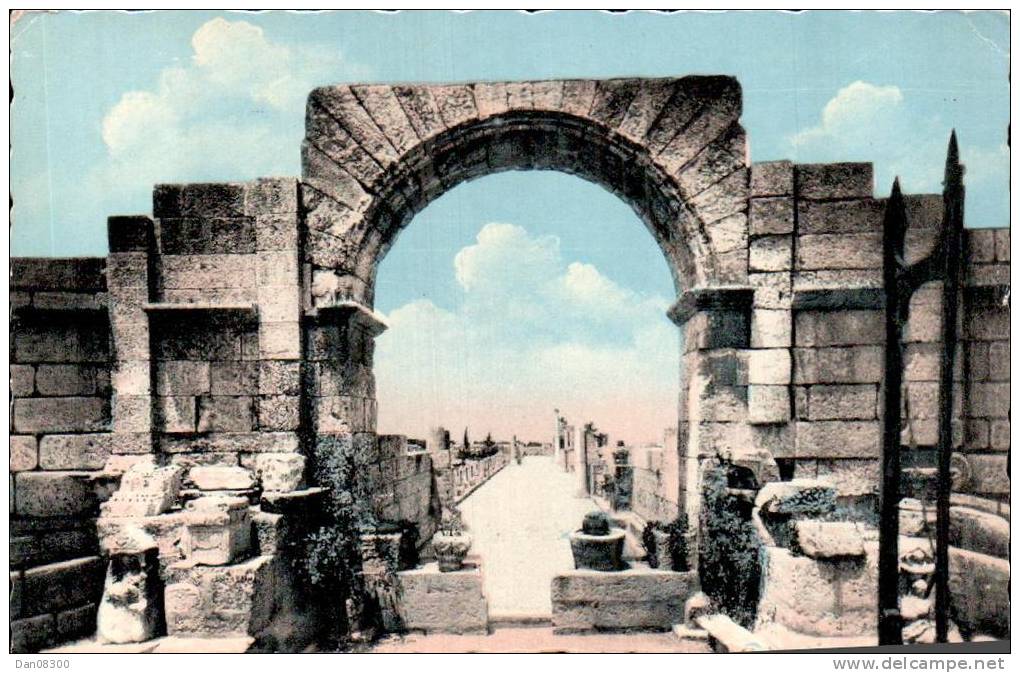 ALGERIE TEBESSA LES RUINES DE LA BASILIQUE ROMAINE CPSM CIRCULEE