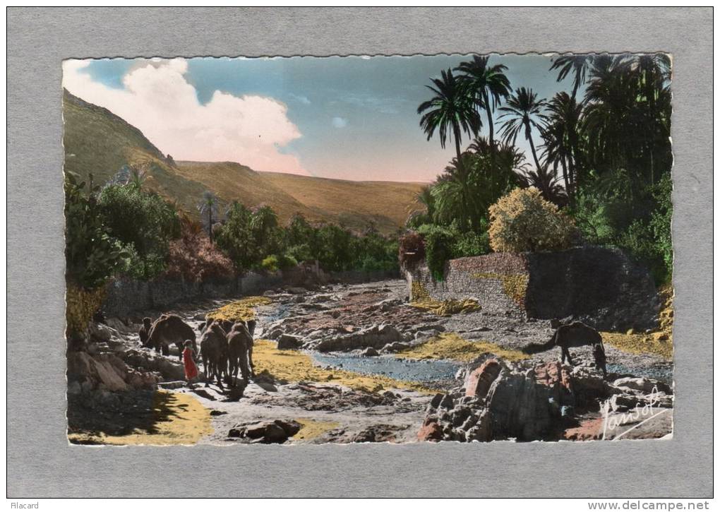 31114    Algeria,    Le  Sud  Algerien,  Un  oued  dans  le  Sud,  NV  (scritta)