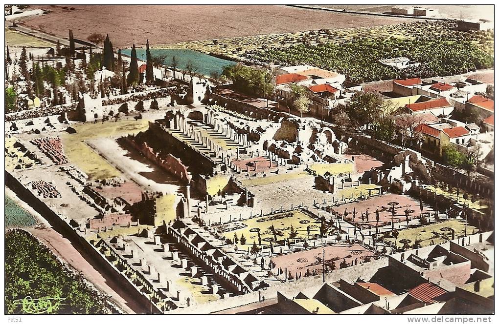 ALGERIE -  Tebessa / Constantine  Vue aérienne sur les ruines romaines de la Basilique