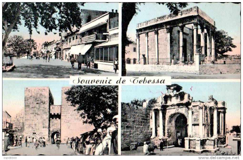 ALGERIE SOUVENIR DE TEBESSA VUES MULTIPLES CPSM
