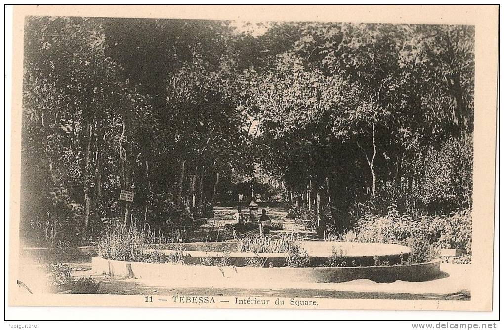 cpa bon etat    algérie , tebessa , intérieur du square , carte impeccable