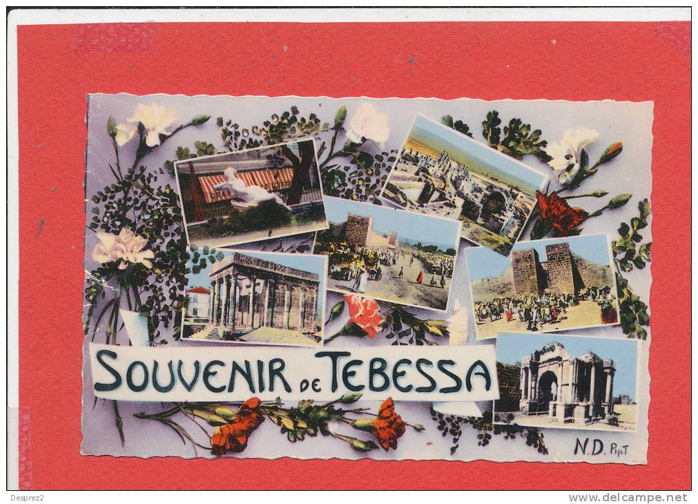 TEBESSA cpsm Multivues           1519 Edit ND