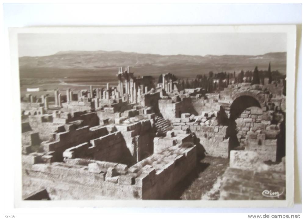 TEBESSA RUINES DE LA BASILIQUE