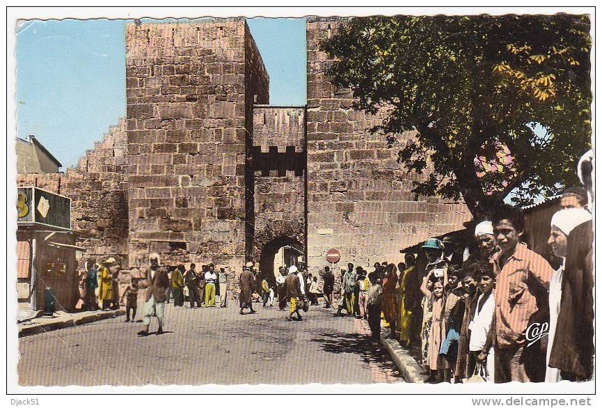 8.  TEBESSA - La Porte Solomon - 1964