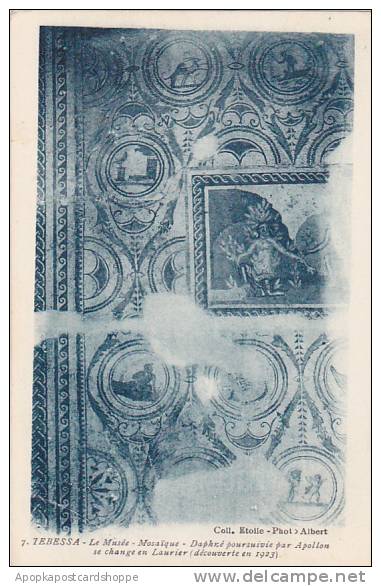 Algeria Tebessa Le Musee Mosaique