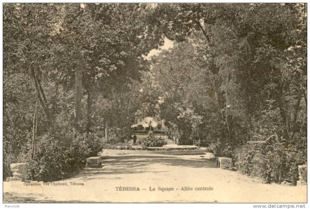 CPA - Tébessa - Le square - Allée Centrale