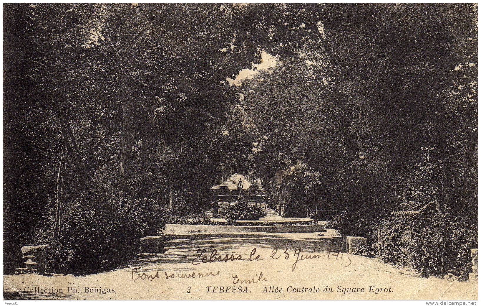 CARTE POSTALE ANCIENNE. ALGERIE. TEBESSA. ALLEE CENTRALE DU SQUARE EGROT. 1915.