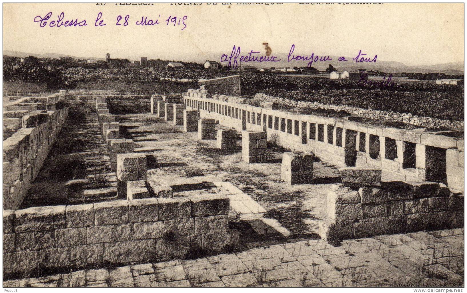 CARTE POSTALE ANCIENNE. ALGERIE. TEBESSA. RUINES DE LA BASILIQUE.ECURIES ROMAINES.  1915.