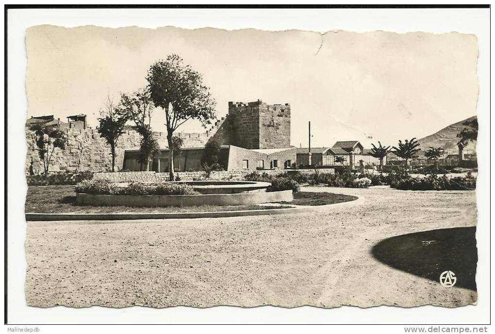 CP  N°29 TEBESSA - Jardin de la Mairie