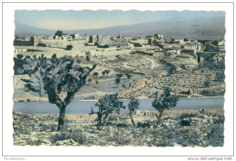TEBESSA (Algérie ) - CPSM -Vue générale