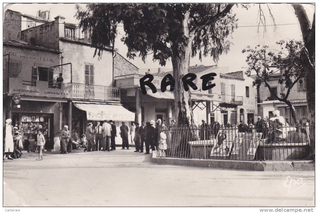 afrique du nord,maghreb,africa,algér ie,algeria,TEBESSA,TBESSA ,prés tunisie,café,librairie hachette,epicerie moderne