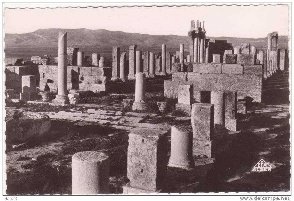 CSM  -  TEBESSA  -  15. Dans la Basilique, La Chapelle.