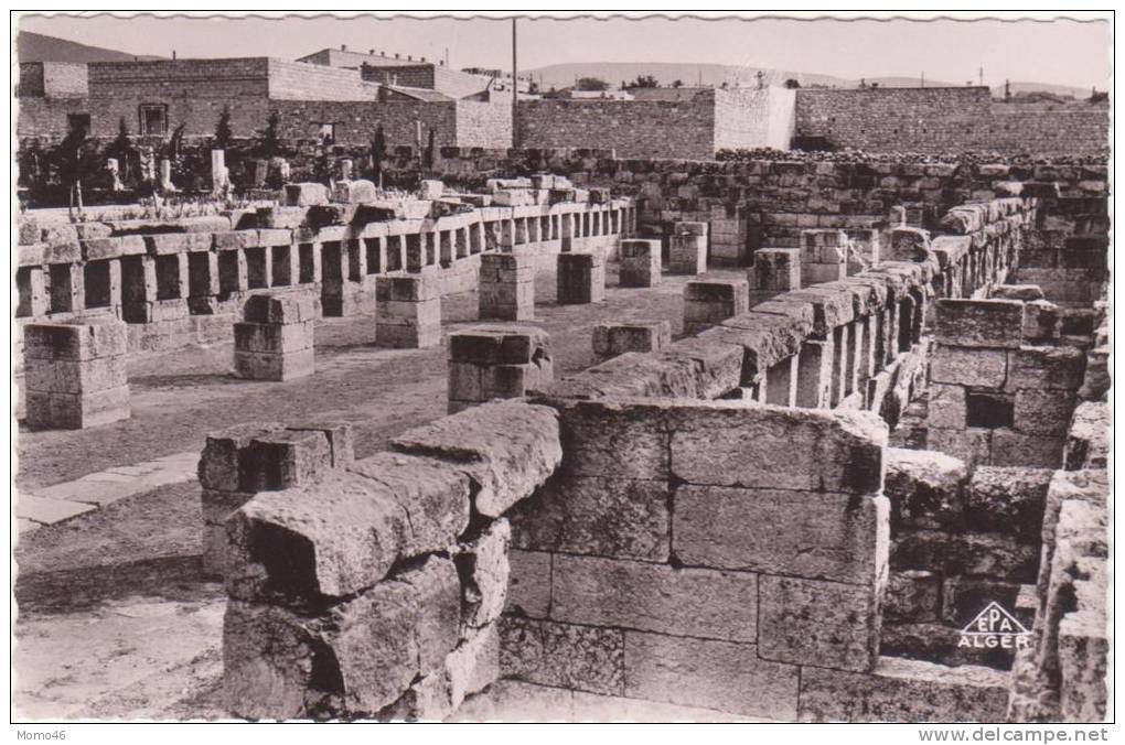 CSM  -  TEBESSA  -  7. Basilique Romaine. Les Ecuries