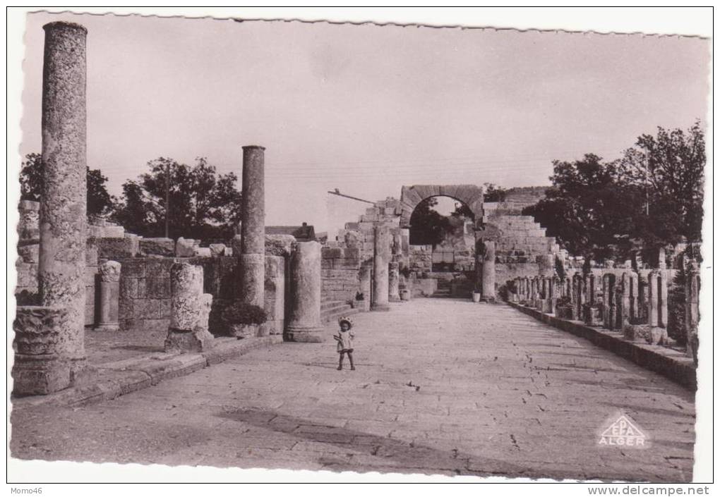 CSM  -  TEBESSA  -  8. Grande allée de la Basilique