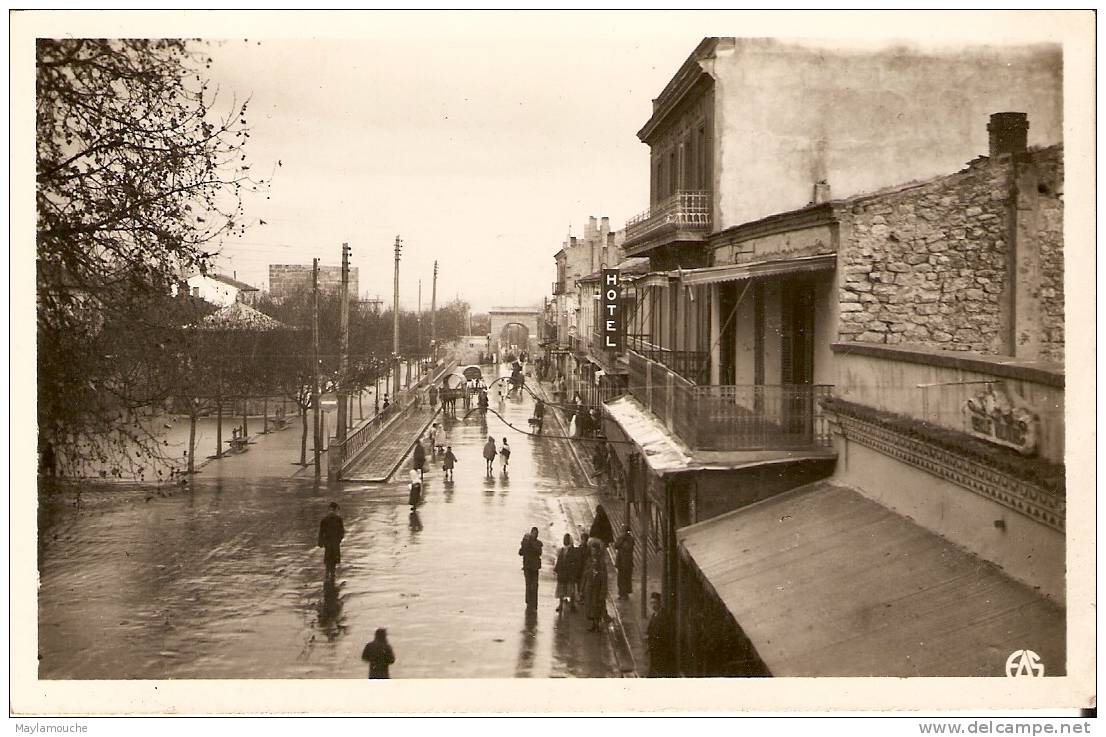 tebessa le cours carnot