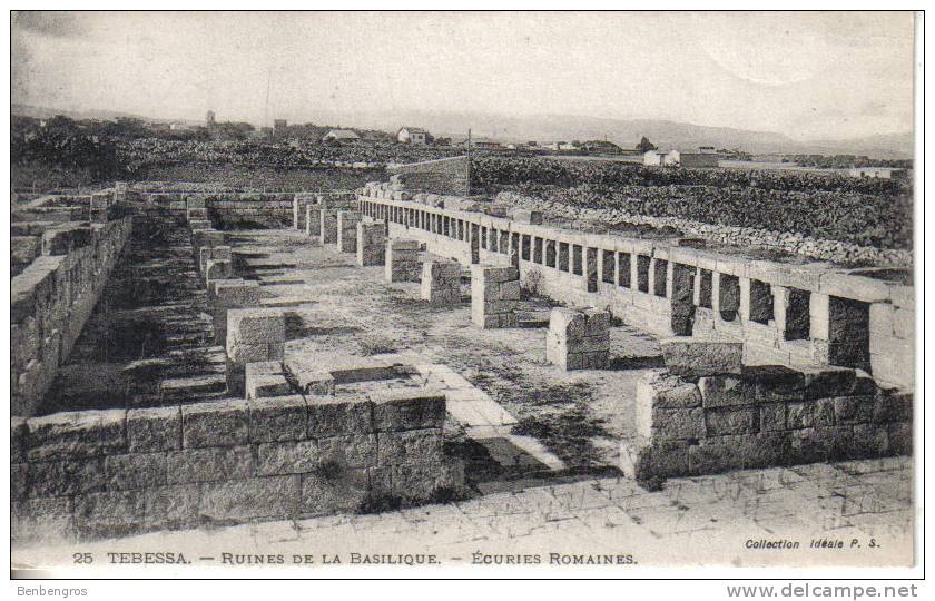 Tebessa  ruines de la basilique écuries romaines