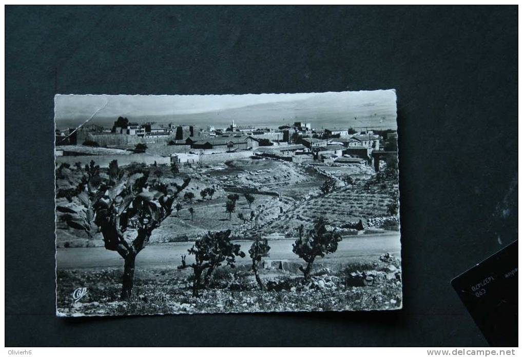 CP ALGERIE, TEBESSA Vue générale, n°6 (L45)