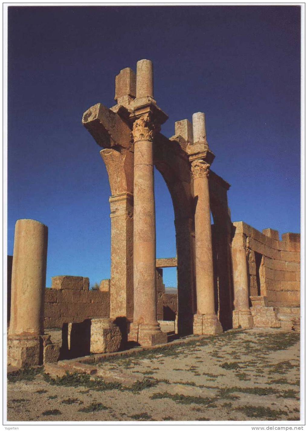ALGERIE - CP - TEBESSA - Basilique - Ruines romaines - Neuve