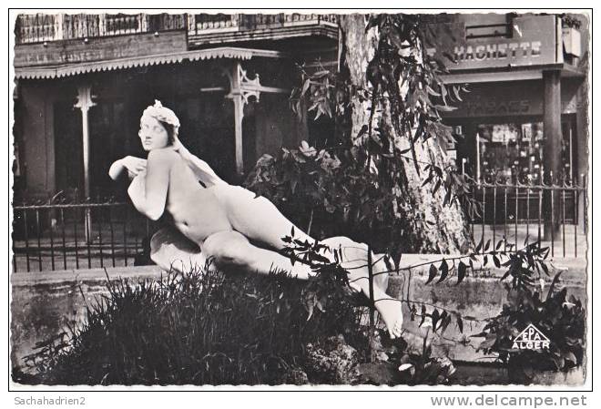 cpsm. pf. TEBESSA. La Sirène. 11