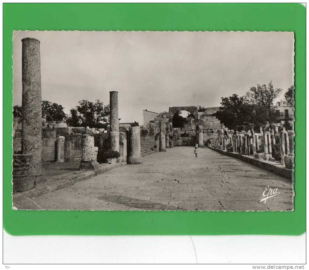 TEBESSA GRANDE ALLEE DE LA BASILIQUE