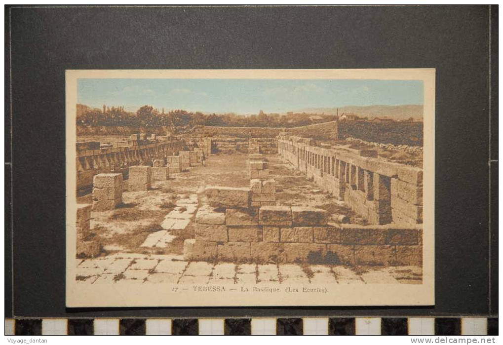 ALGERIE TEBESSA LA BASILIQUE LES ECURIES