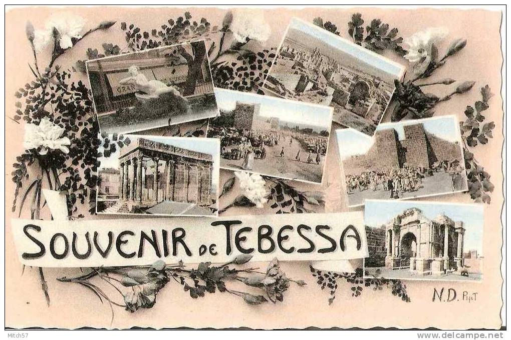 CPA Algérie souvenir de Tébessa multi-vues  belle carte