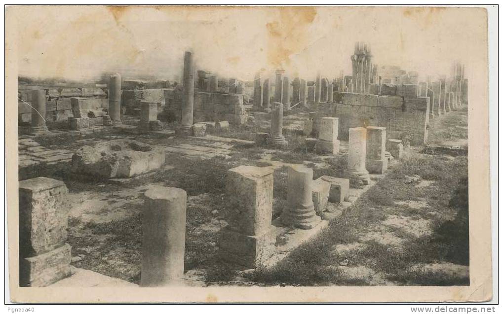 cp , ALGERIE , TEBESSA , Dans la Basilique la Chapelle