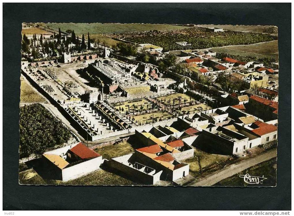 *ALGERIE - TEBESSA - BASILIQUE CHRETIENNE - VUE AERIENNE