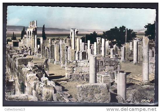 ALGERIE - Tebessa - Ruines de la Basilique Romaine