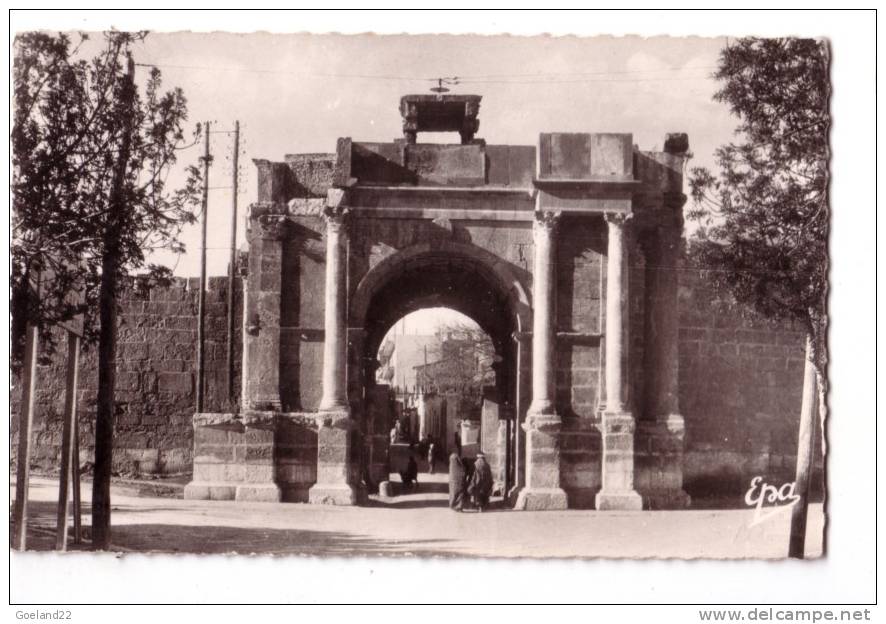 TEBESSA   -   la porte  Caracalla