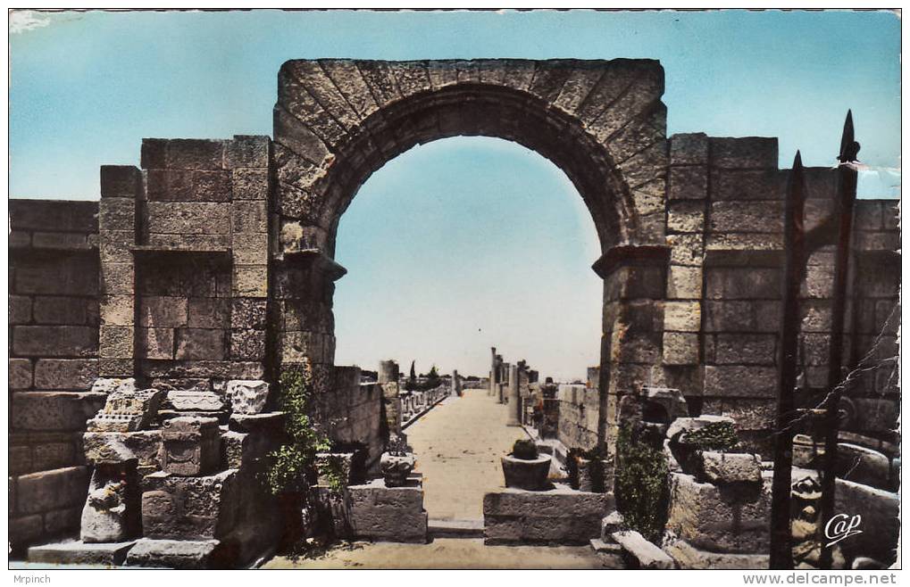 Algérie. Tebessa. Les Ruines de la Basilique Romaine. Voyagée en 1957