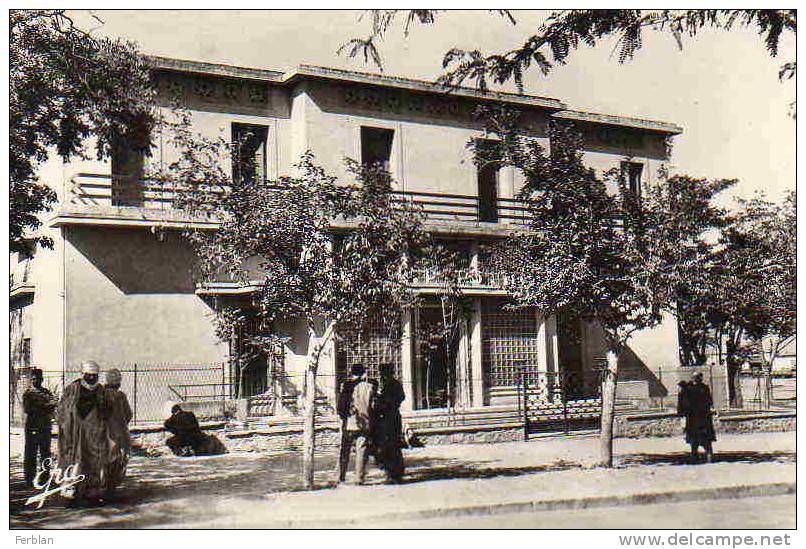 AFRIQUE. ALGERIE. TEBESSA. Vue sur Les Postes et Télégraphes. Carte Dentelée.