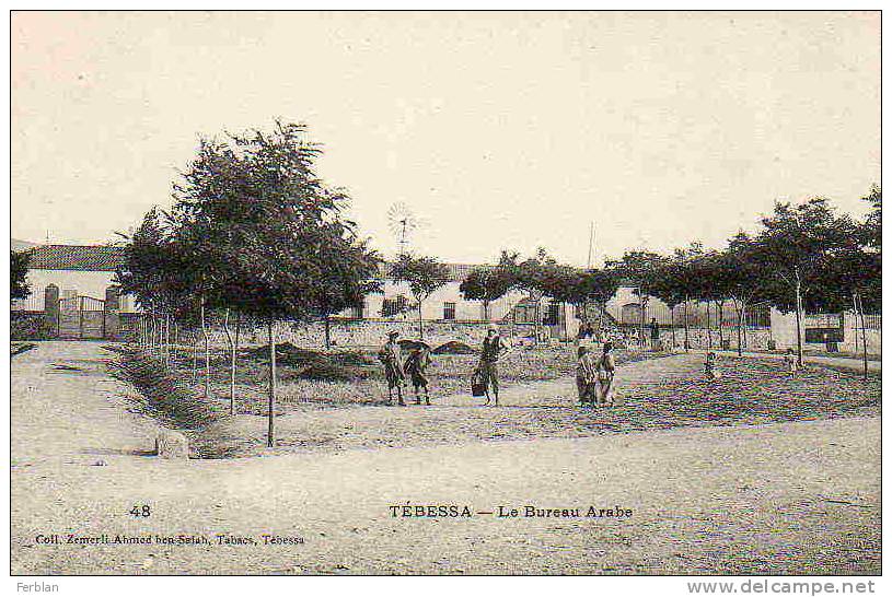 AFRIQUE. ALGERIE. TEBESSA. Vue sur Le Bureau Arabe et une Eolienne.