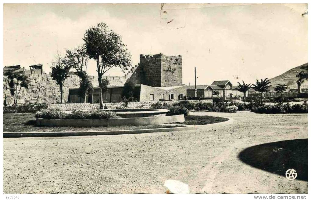TEBESSA (ALGERIE)  Jardin de la Mairie