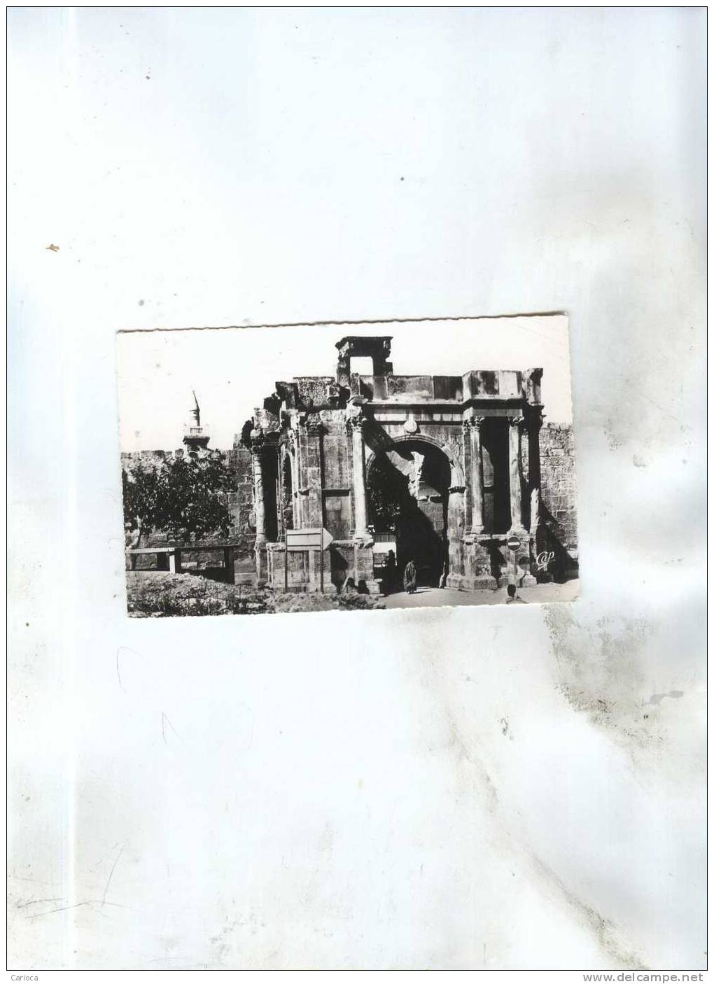 CPA TEBESSA  EN 1959 LA POPRTE CARACALLA