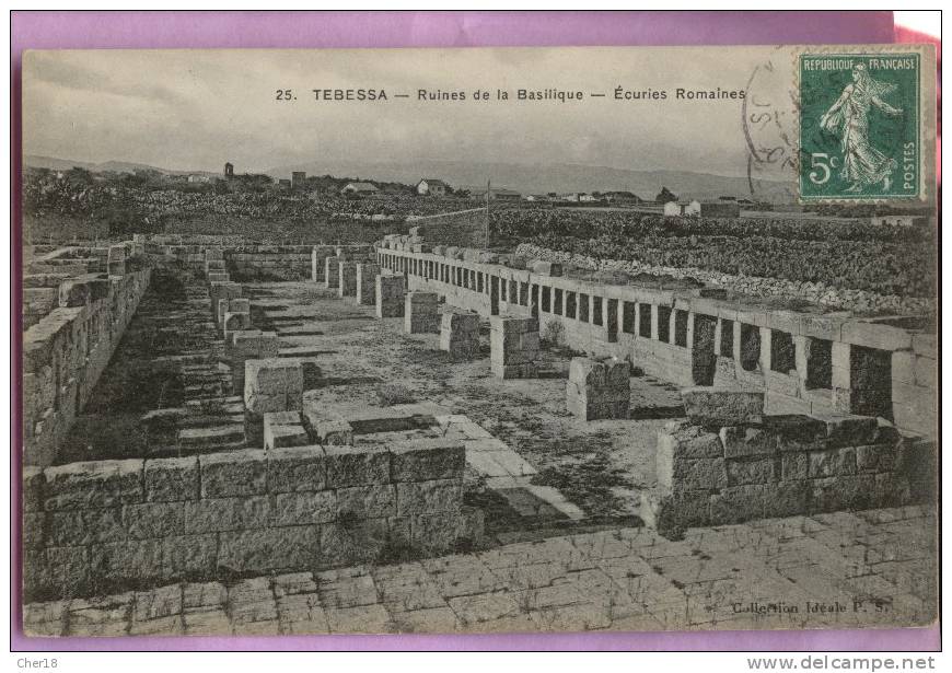 25 Tebessa ruines de la basilique Ecrite