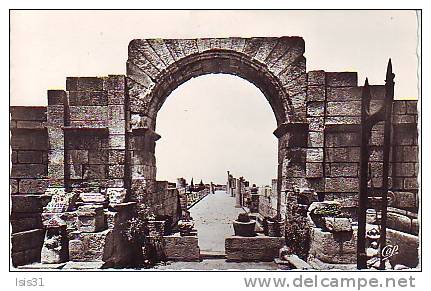 Algérie - Z899 - Tebessa - Les ruines de la basilique romaine - Semi moderne petit format - état