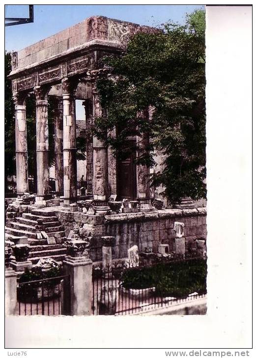 TEBESSA - Temple de Minerve  - n°  7