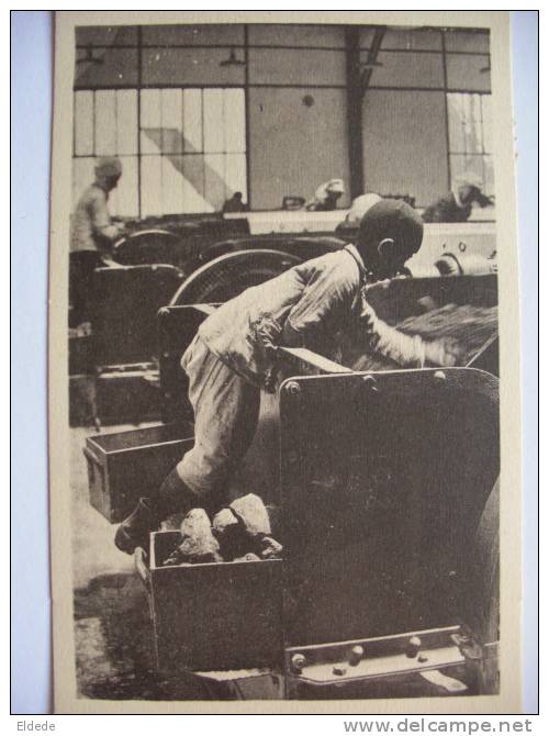 Mines Djebel Kouif Tebessa  Phosphates Constantine Un trieur Travail enfant Child working