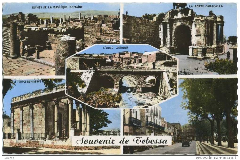 TEBESSA Souvenir multivues  Cpsm