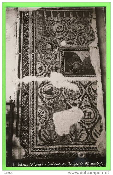TÉBESSA, ALGÉRIE - INTÉRIEUR DU TEMPLE DE MINERUE - ÉDIT CIM - BEN AHMED -