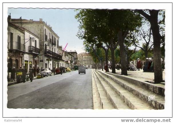 ALGERIE  /  TEBESSA  /  COURS  CARNOT  ( autos CITROËN + RENAULT ) /  CAP  n° 1543  ( texte historique de 1961 ! )