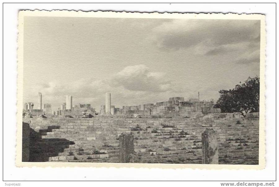 ALGERIE / CARTE-PHOTO  cliché n° 32 / 