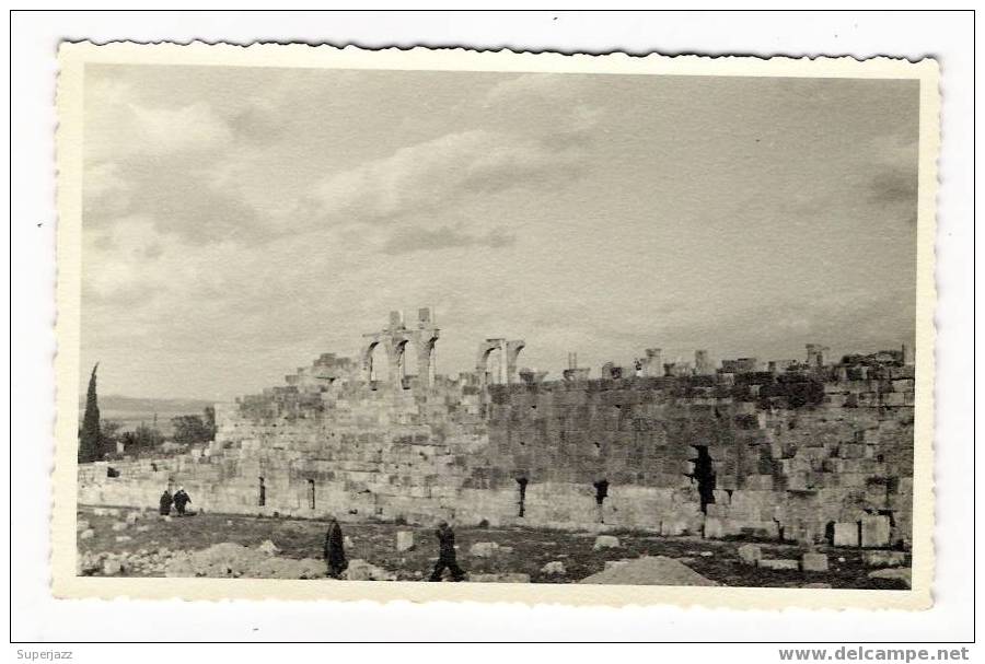 ALGERIE / CARTE-PHOTO  cliché n° 28 / 