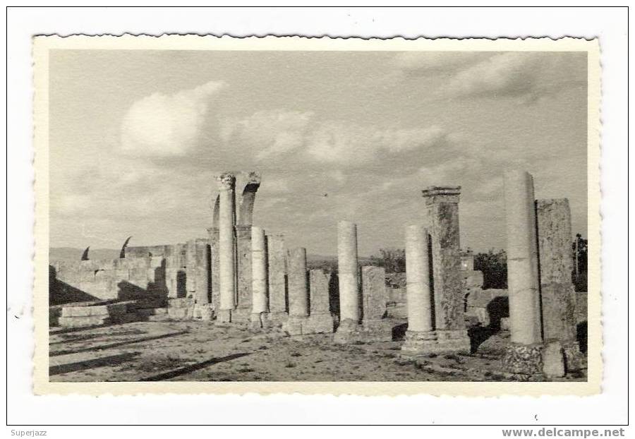 ALGERIE / CARTE-PHOTO  cliché n° 30 / 