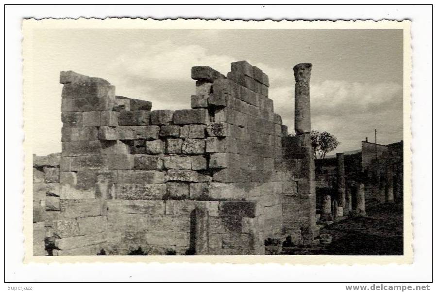 ALGERIE / CARTE-PHOTO  cliché n° 27 / 