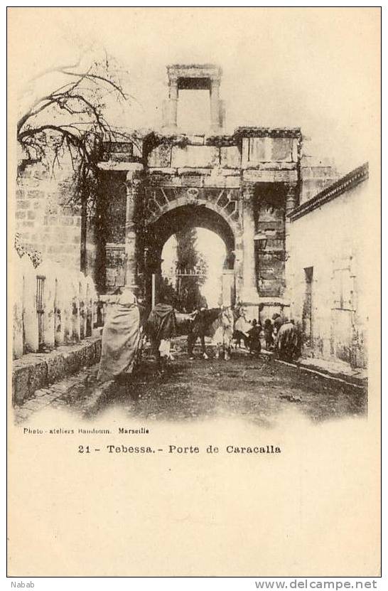 NK-DV 0026-Algérie-Tebessa-Port e de Caracalla-Pur Sang Arabe-