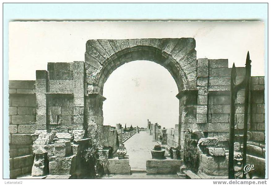 TEBESSA / Les RUines de la Basilique Romaine / Tébessa