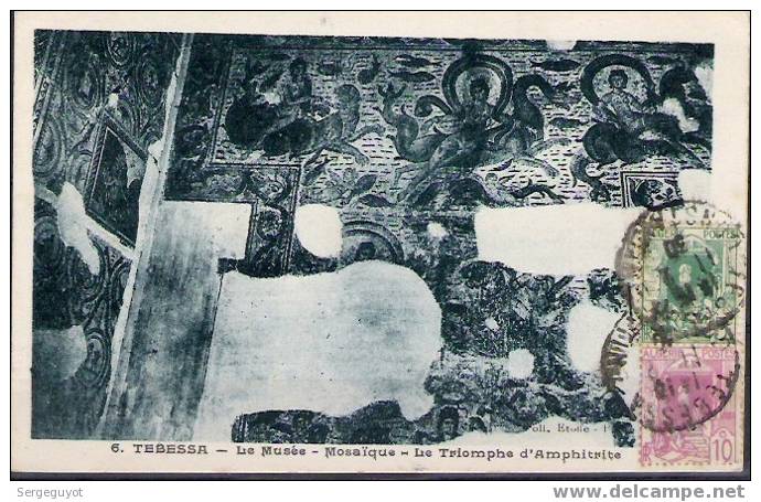 Tebessa  le musée - mosaïque - le triomphe d´Amphitrite - (c1386)