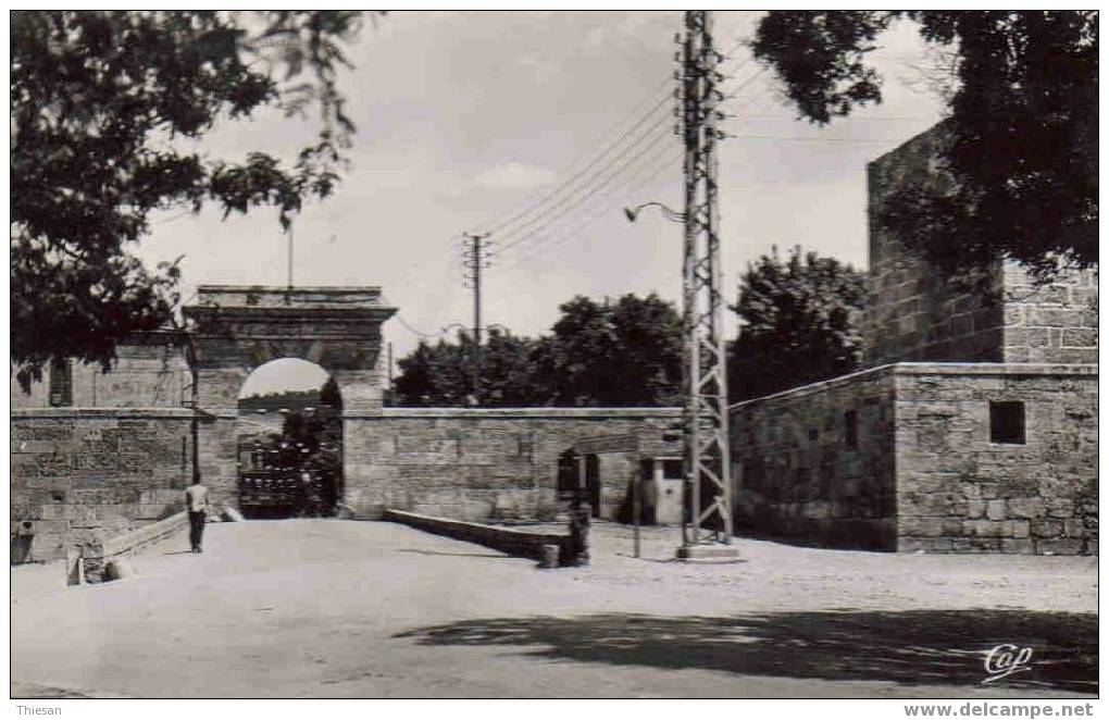 Algérie.Tebessa.Entrée de la ville ( CPSM CAP 1516 ).